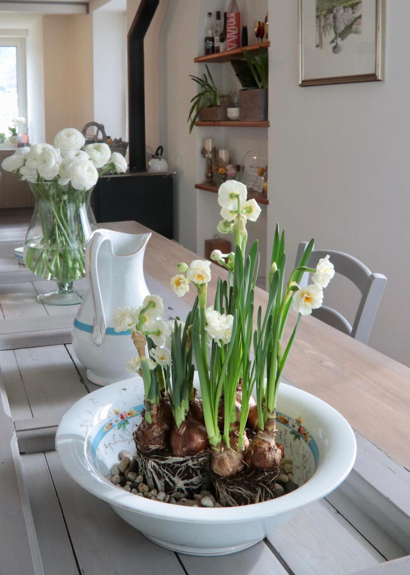 Casa Viola Bed And Breakfast Dimora Di Campagna Calice Ligure Exterior photo